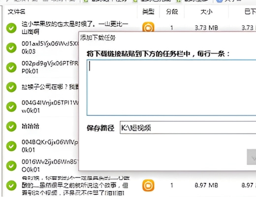 短视频下载助手