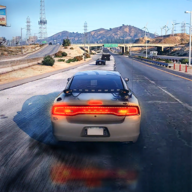 交通驾驶模拟器免费版(Traffic Driving)