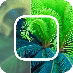 模糊照片修复23.5.10