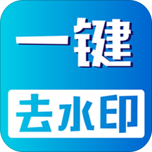 视频无痕去水印v20