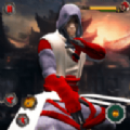 忍者英雄搏击