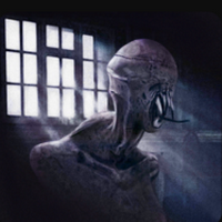 黑暗追捕者(Dark Pursuer)v1.48