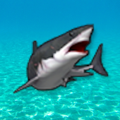 真正的龙头鱼v1.0.3.10