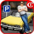 疯狂停车王3D