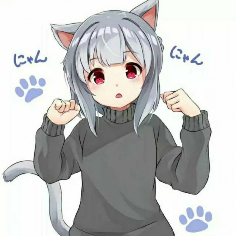 冷狐宝库破解版