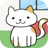 猫去哪儿了