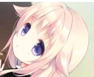 与你拉钩起誓的婚约