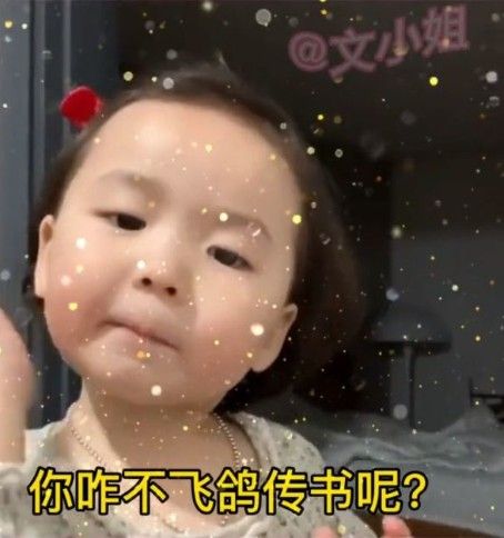 半天不回消息你咋不飞鸽传书呢表情包图片