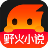 野火小说最新版