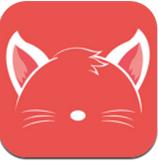 猫耳陪玩最新版