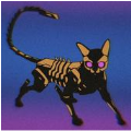 赛博朋克猫