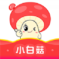 小白菇最新版