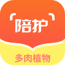 多肉植物陪护记