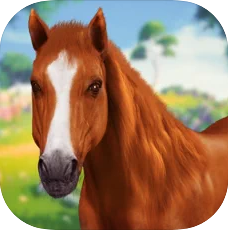 我的荒野马骑术故事