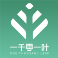 一千零一叶
