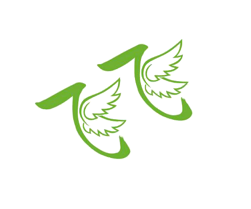 飞飞影视无广告版