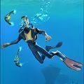 海底求生无限金币中文版