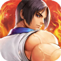 格斗拳魂最新版