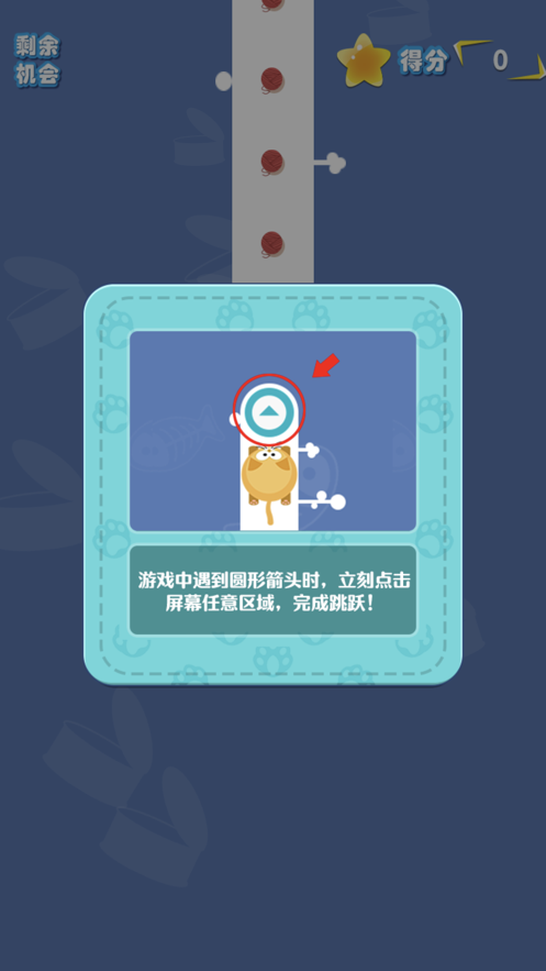 疾速喵 疾速喵