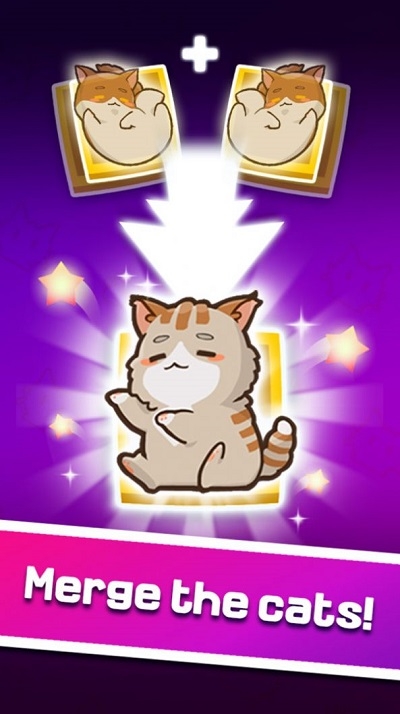 猫主子的日常 猫主子的日常
