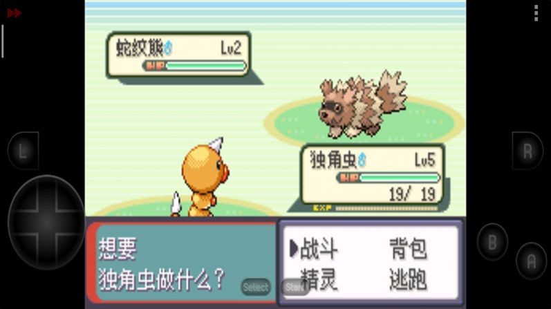 口袋妖怪虫之预感