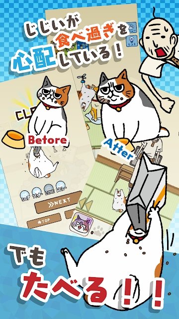为饥饿的猫寻找饲料 为饥饿的猫寻找饲料