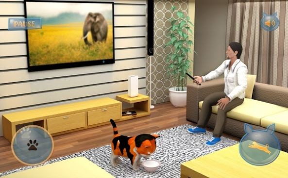 流浪猫模拟器2020