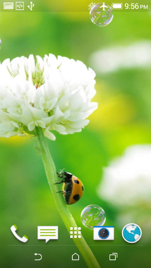 瓢虫拼图 瓢虫拼图