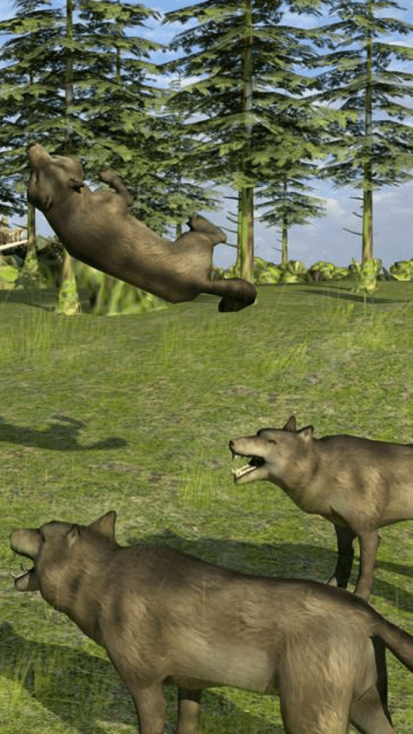 野生动物生活模拟 野生动物生活模拟
