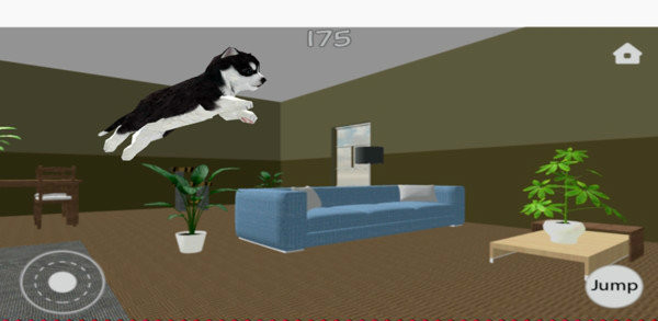 出来单挑啊哈士奇