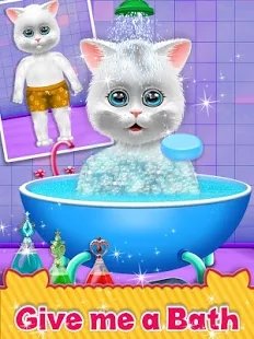 清洁小猫 清洁小猫