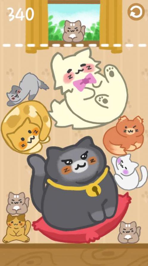 合并小猫咪 合并小猫咪