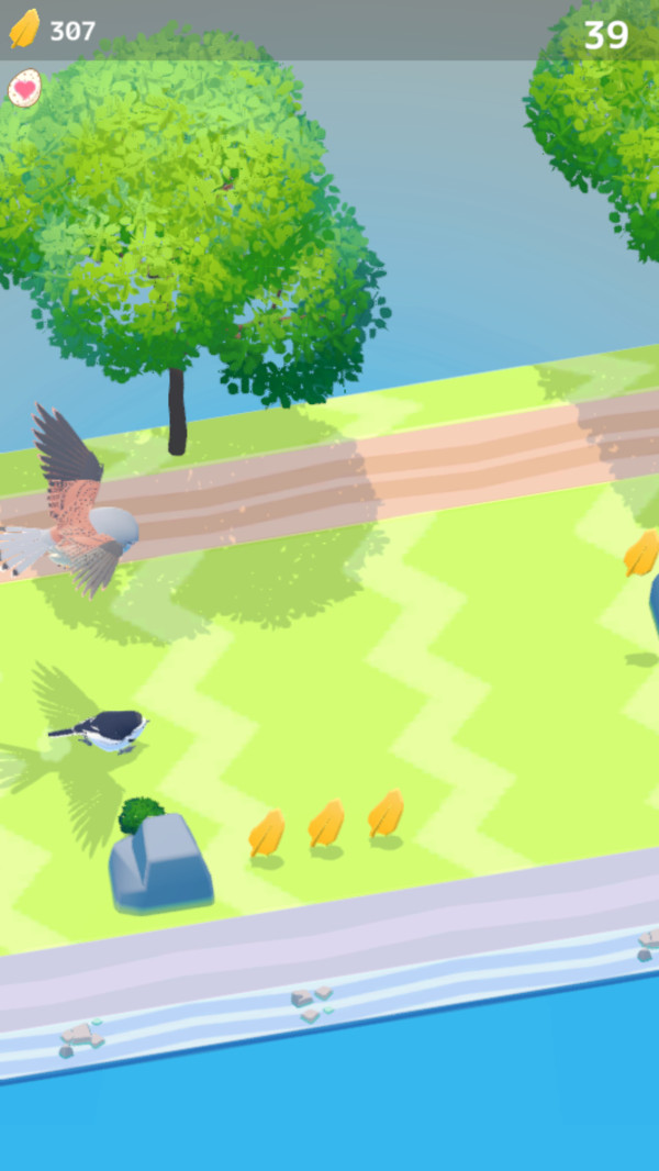 燕子模拟器 燕子模拟器
