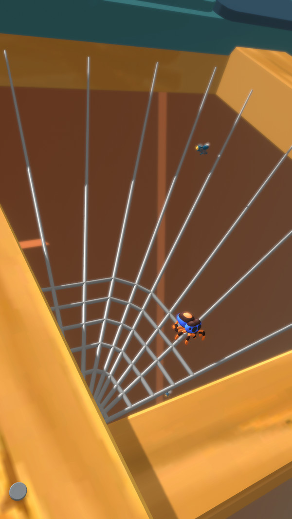 空闲蜘蛛 空闲蜘蛛