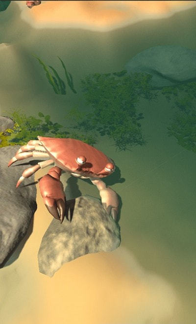 赶海之王 赶海之王