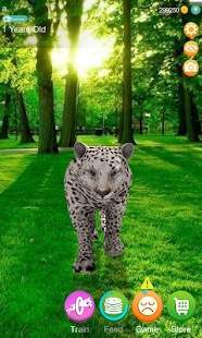 会说话的猎豹 会说话的猎豹