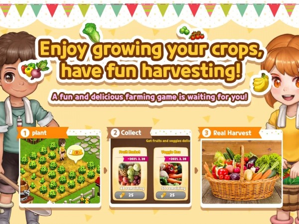 实地农场 实地农场