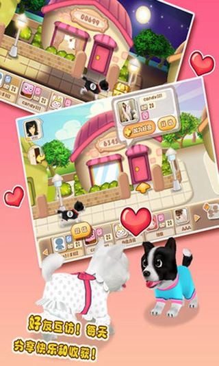 晴天小狗 晴天小狗