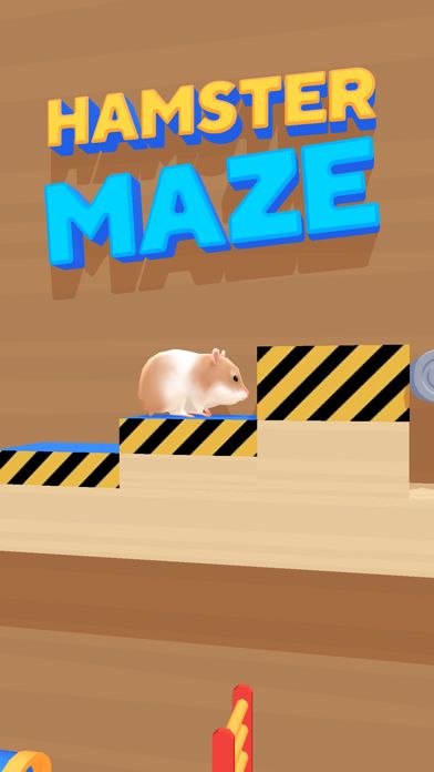 Hamster Maze Hamster Maze
