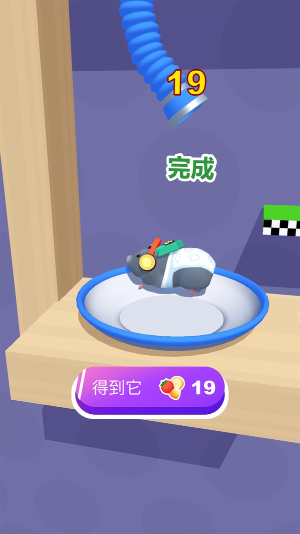 仓鼠迷宫大作战 仓鼠迷宫大作战