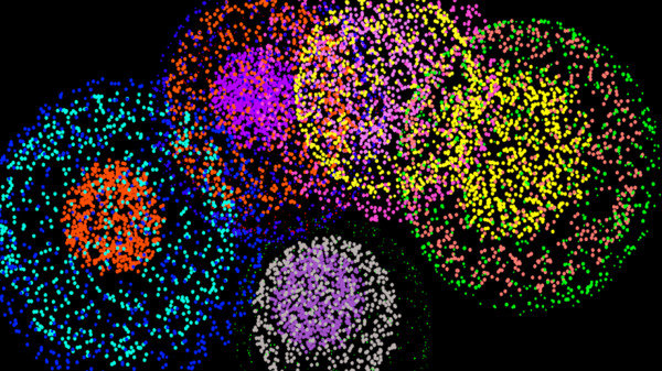 烟火的季节 烟火的季节