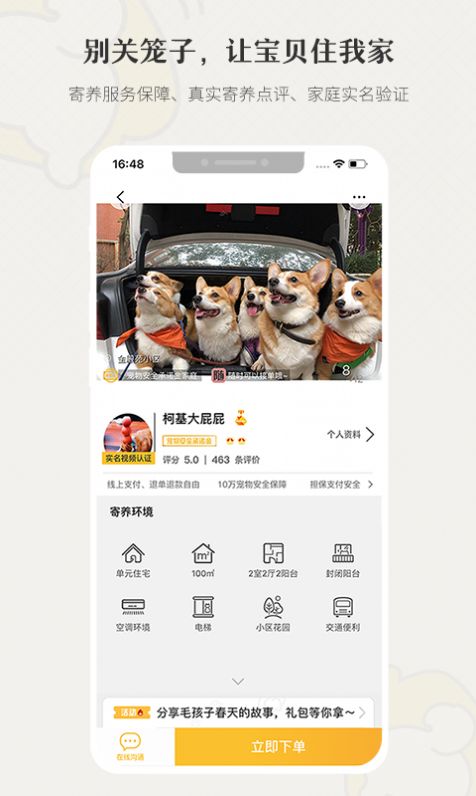 柴犬俱乐部