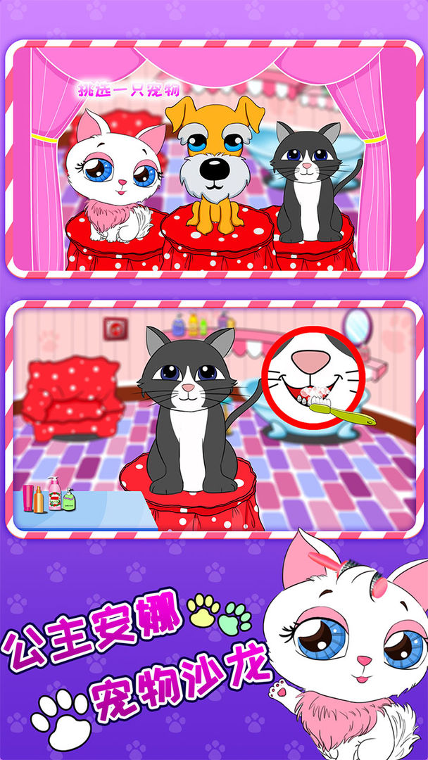 公主安娜宠物沙龙.jpg