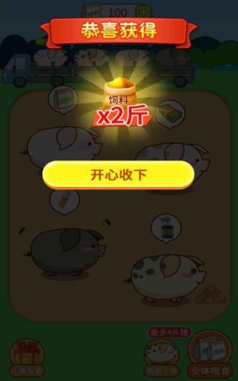 小福猪养成 小福猪养成
