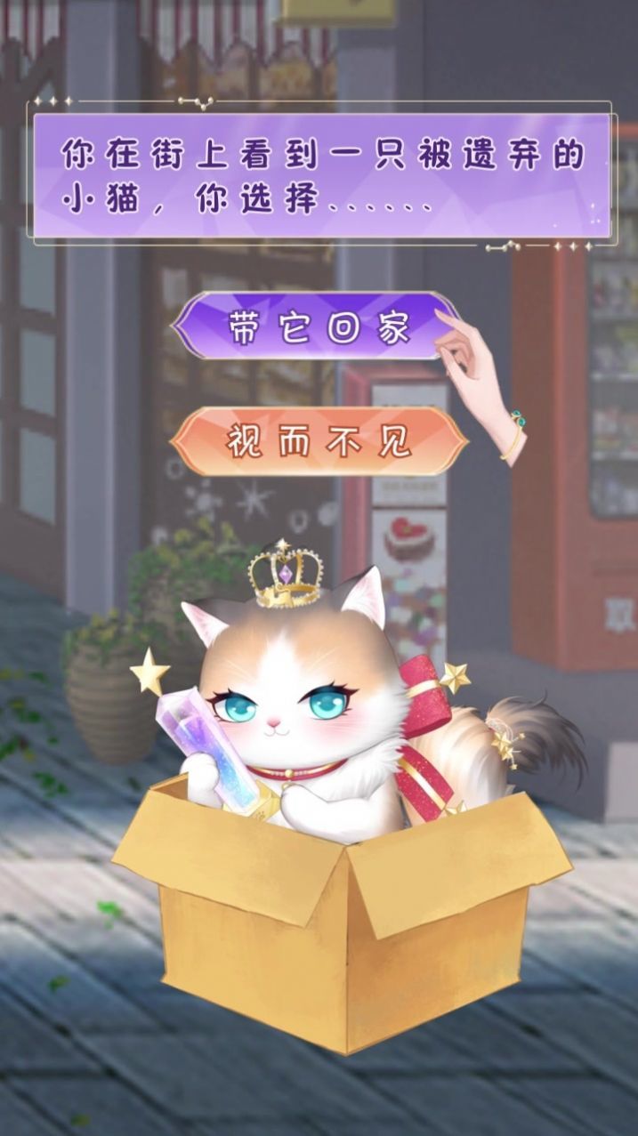 我的灵宠是只猫 我的灵宠是只猫