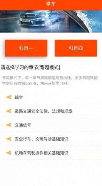 珊瑚树驾照考试