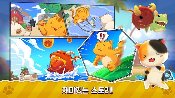 猫咪跑步趣 猫咪跑步趣