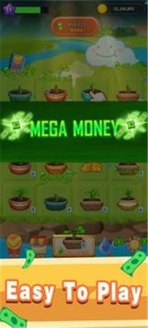 金钱花园 金钱花园