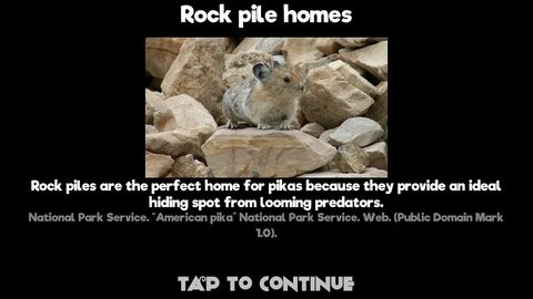 鼠兔的生活 鼠兔的生活