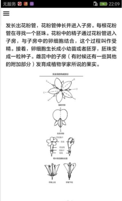 野外植物识别手册